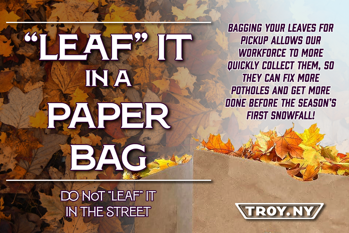 Leaf It In a Bag